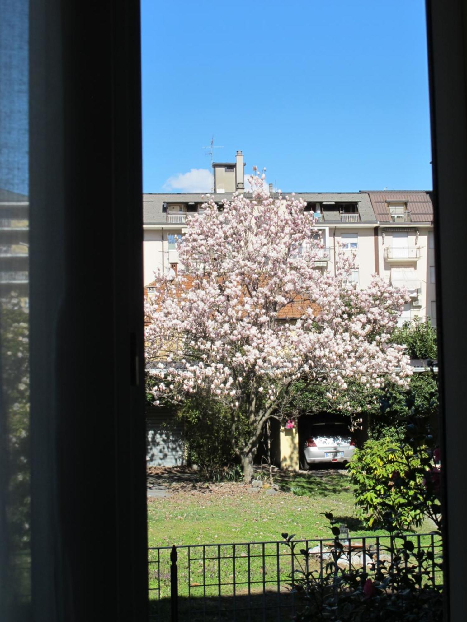 Domus Mea Apartment Domodossola Exterior photo